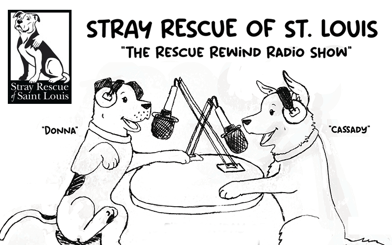 The Rescue Rewind Radio Show The Big 550 Ktrs